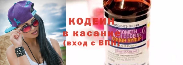 не бодяженный Гусь-Хрустальный