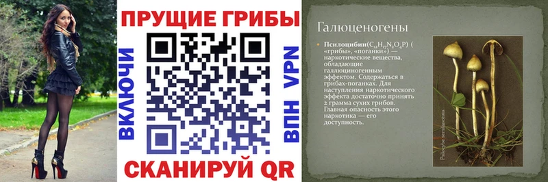 Галлюциногенные грибы мицелий  Новочеркасск 