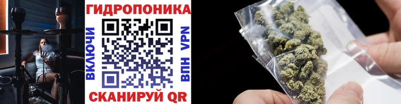 маркетплейс Telegram  KRAKEN как зайти  Новочеркасск  Бошки Шишки гибрид 